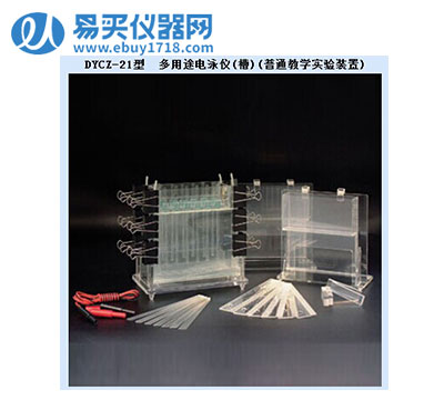 北京六一多用途电泳仪(槽)(普通教学实验装置)DYCZ-21